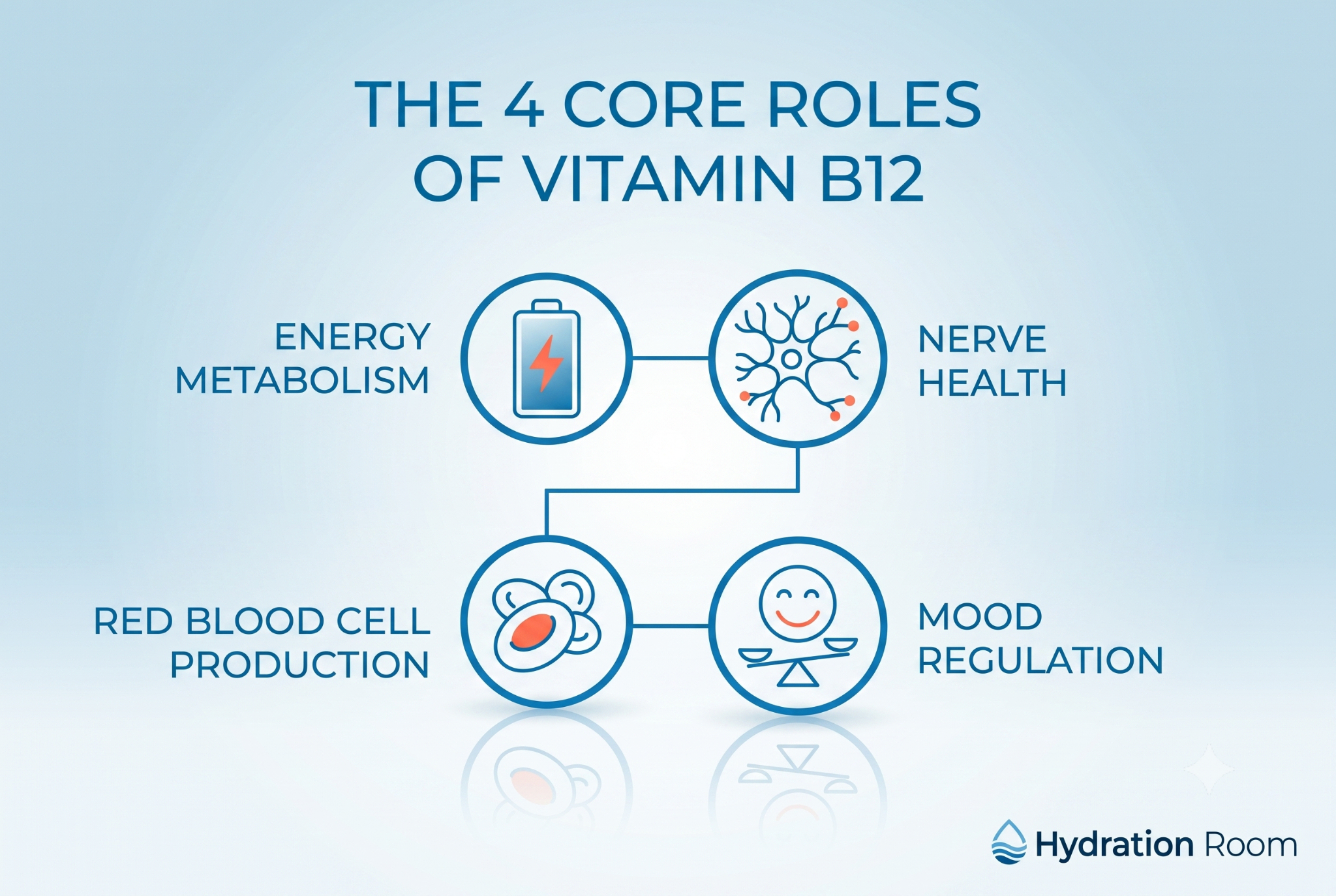 Infographic showing four functions of Vitamin B12: energy metabolism, nerve health, red blood cell production, and mood regulation