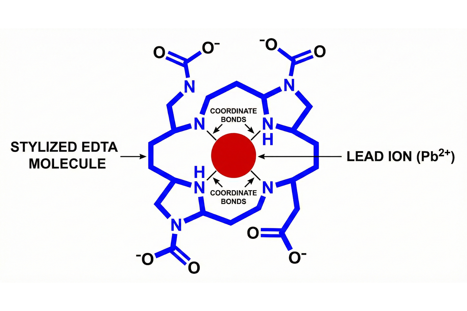 Diagram of a chelating agent molecule binding to a heavy metal ion